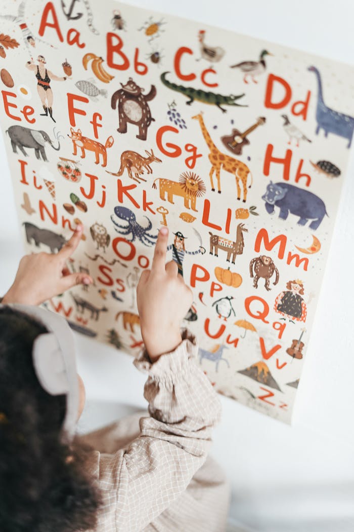 A child points at an educational alphabet poster with animals and letters.